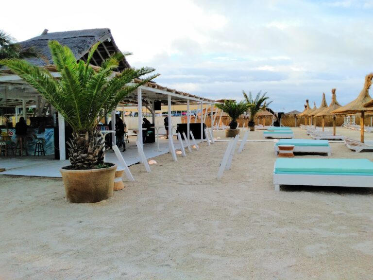 Film pe plajă la Shut Up, Beach!